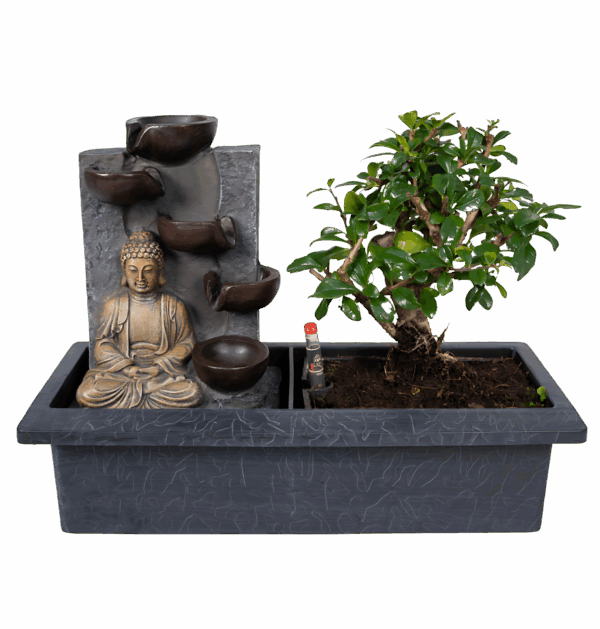 Bonsai-Baum “Meditation” | Bonsai mit Buddha & Wasserfall | +/- 30cm | ø 15cm Topf