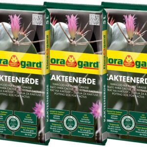 Kakteenerde