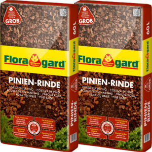 Pinien-Rinde