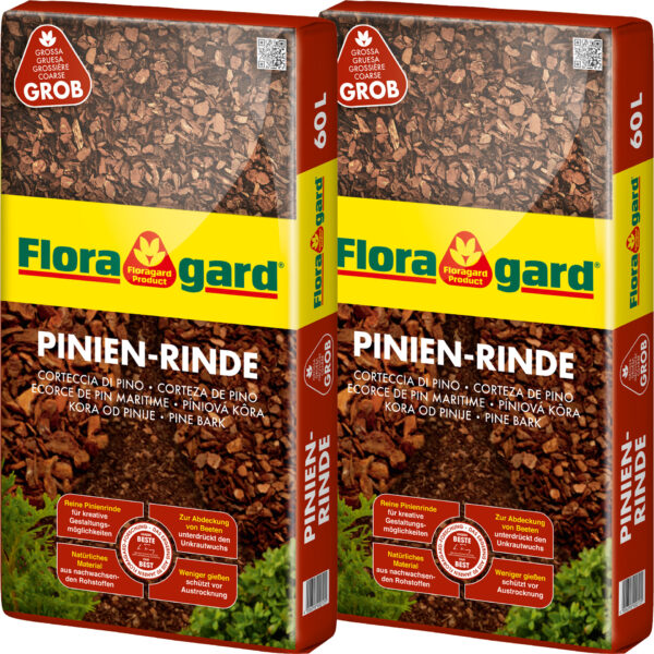 Pinien-Rinde