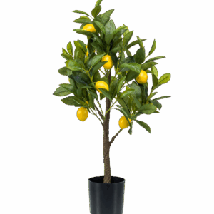 Künstliche Citrus Limonia | Zitrusbaum | +/- 75cm | ø 12cm Topf