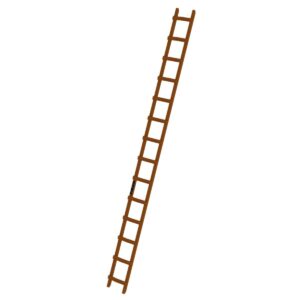 Günzburger Steigtechnik Dachleiter Holz 14 Sprossen