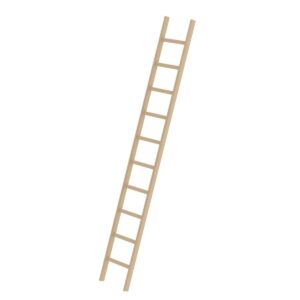 Günzburger Steigtechnik Sprossen-Anlegeleiter Holz ohne Traverse 10 Sprossen