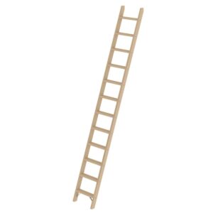 Günzburger Steigtechnik Stufen-Anlegeleiter Holz ohne Traverse 12 Stufen