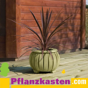 Pflanzkasten Kiefer rund 35x27cm