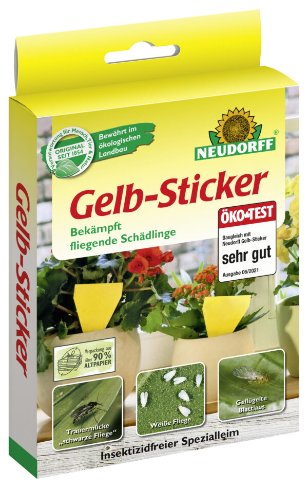 Gelbsticker 10 Stück