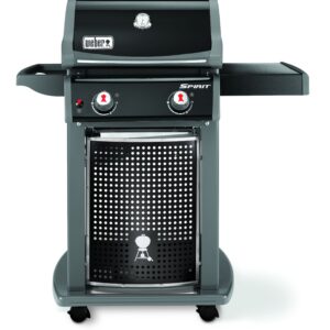 Spirit EO-210, Black
