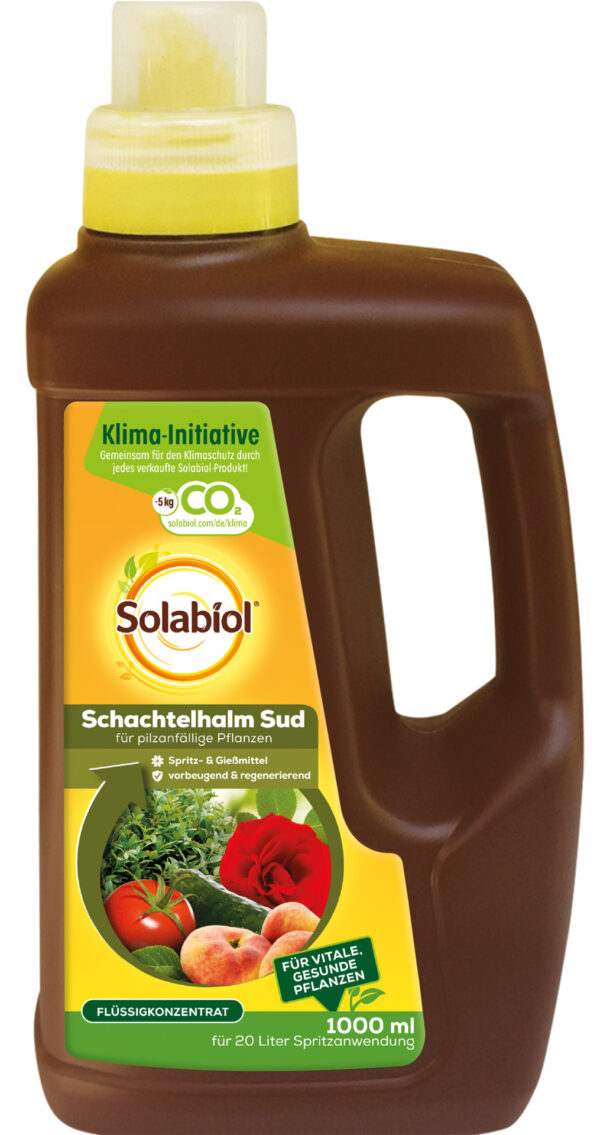 Schachtelhalm Sud, 1l