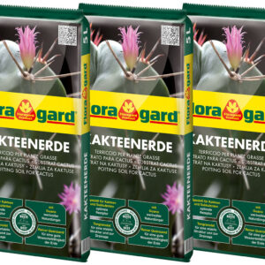 Kakteenerde