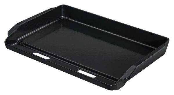 Plancha, Griddle Platte