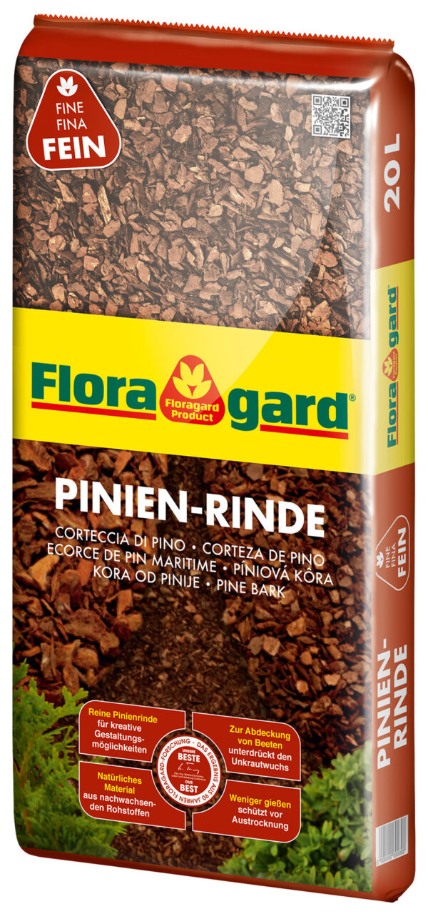 Pinien-Rinde