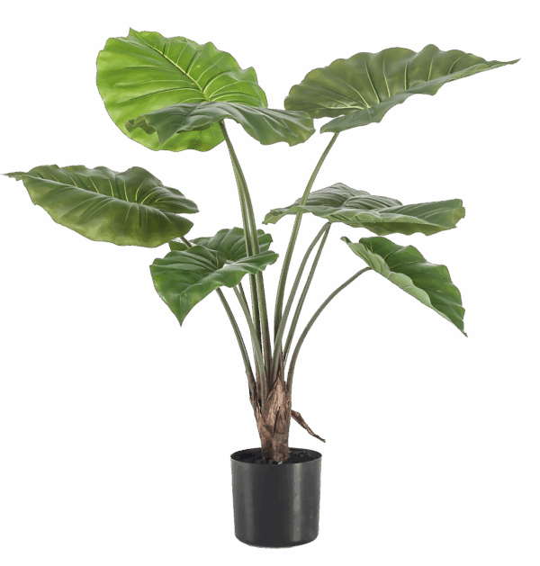 Künstliche Alocasia | Elefantenohr | +/- 70cm | ø 12cm Topf