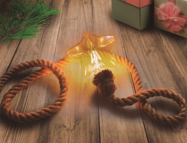 Weihnachtsleuchte SELENA Dekorative Gl?hbirne