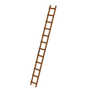 Günzburger Steigtechnik Dachleiter Holz 12 Sprossen