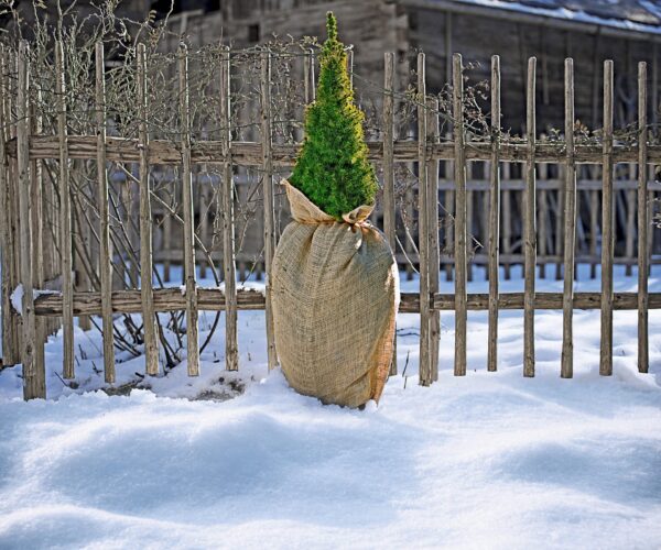 Jute-Sack