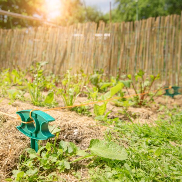 Garten- u. Pflanzenrichtschnur 15m