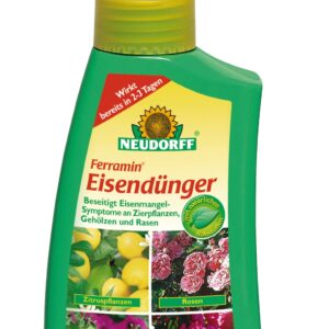 Ferramin Eisen-Blattdünger für Zierpflanzen 250 ml