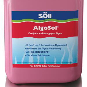 AlgoSol