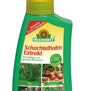 Schachtelhalm Extrakt