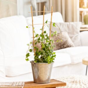 Das richtige Gewächshaus - problemlos und komfortabel 10 Bambus-Rankgitter