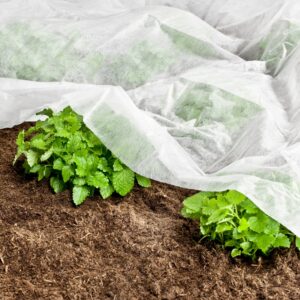 Garten-Vlies BASIC, 10x1,5m, 17g/m²