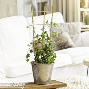 Das richtige Gewächshaus - problemlos und komfortabel 6 Bambus-Rankgitter