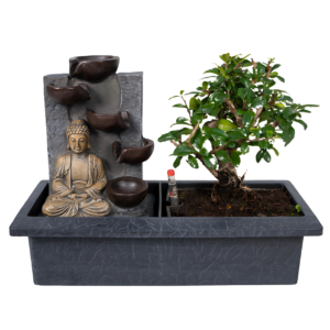Das richtige Gewächshaus - problemlos und komfortabel 5 Bonsai-Baum “Meditation” | Bonsai mit Buddha & Wasserfall | +/- 30cm | ø 15cm Topf