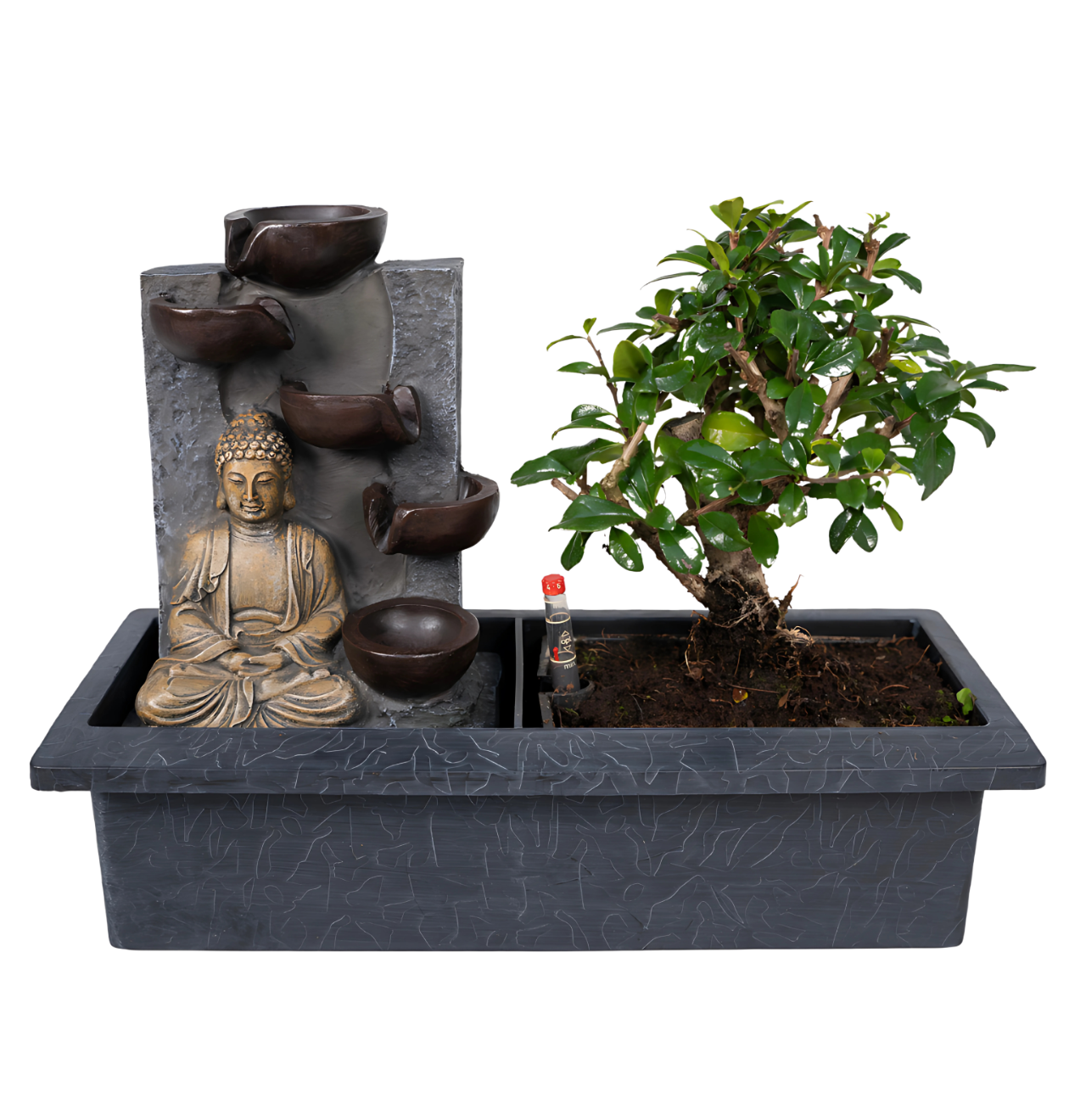 Bonsai-Baum “Meditation” | Bonsai mit Buddha & Wasserfall | +/- 30cm | ø 15cm Topf 1 Bonsai-Baum “Meditation” | Bonsai mit Buddha & Wasserfall | +/- 30cm | ø 15cm Topf