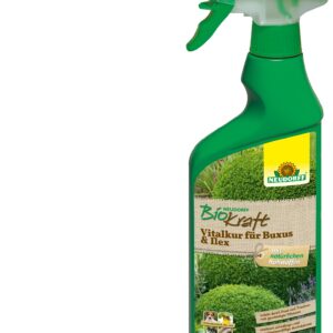 BioKraft Vitalkur für Buxus und Ilex anwendungsfertig 500ml