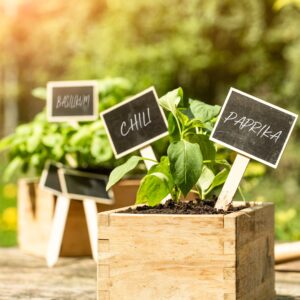Stecketiketten Kreidetafel + Kreidestift