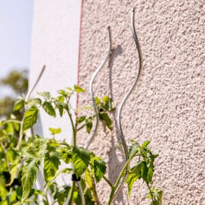 Tomatenspiralstab gerippt