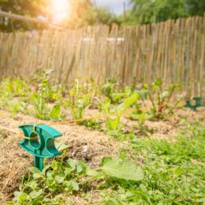 Garten- u. Pflanzenrichtschnur 15m