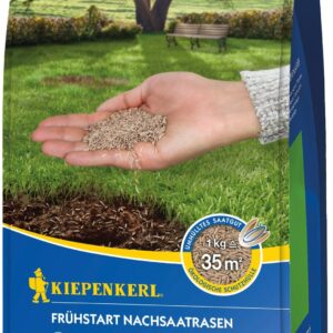 Frühstart Nachsaatrasensamen, 1kg