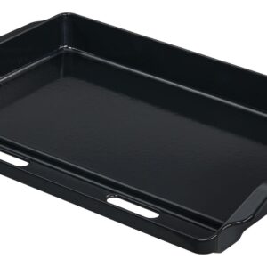 Grillen - risikofrei und einfach 12 Plancha, Griddle Platte