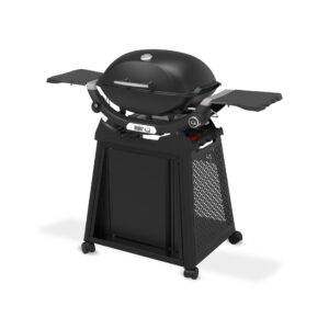 Grillen - risikofrei und einfach 11 Q2200N Gasgrill mit Rollwagen