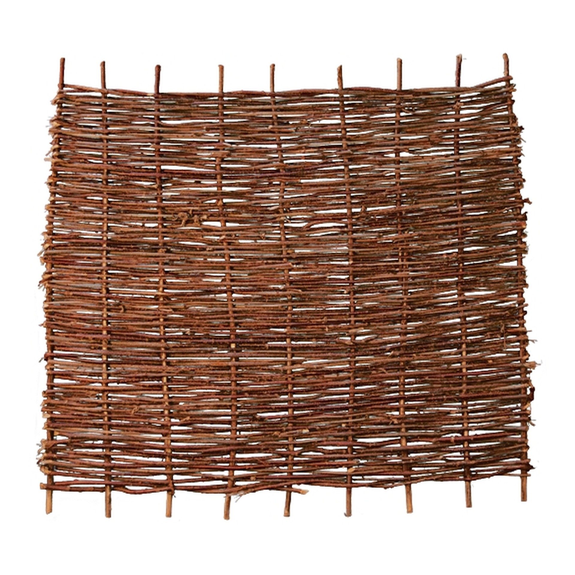 PABLO Haselnusszaun, stabil 1 PABLO Haselnusszaun, stabil