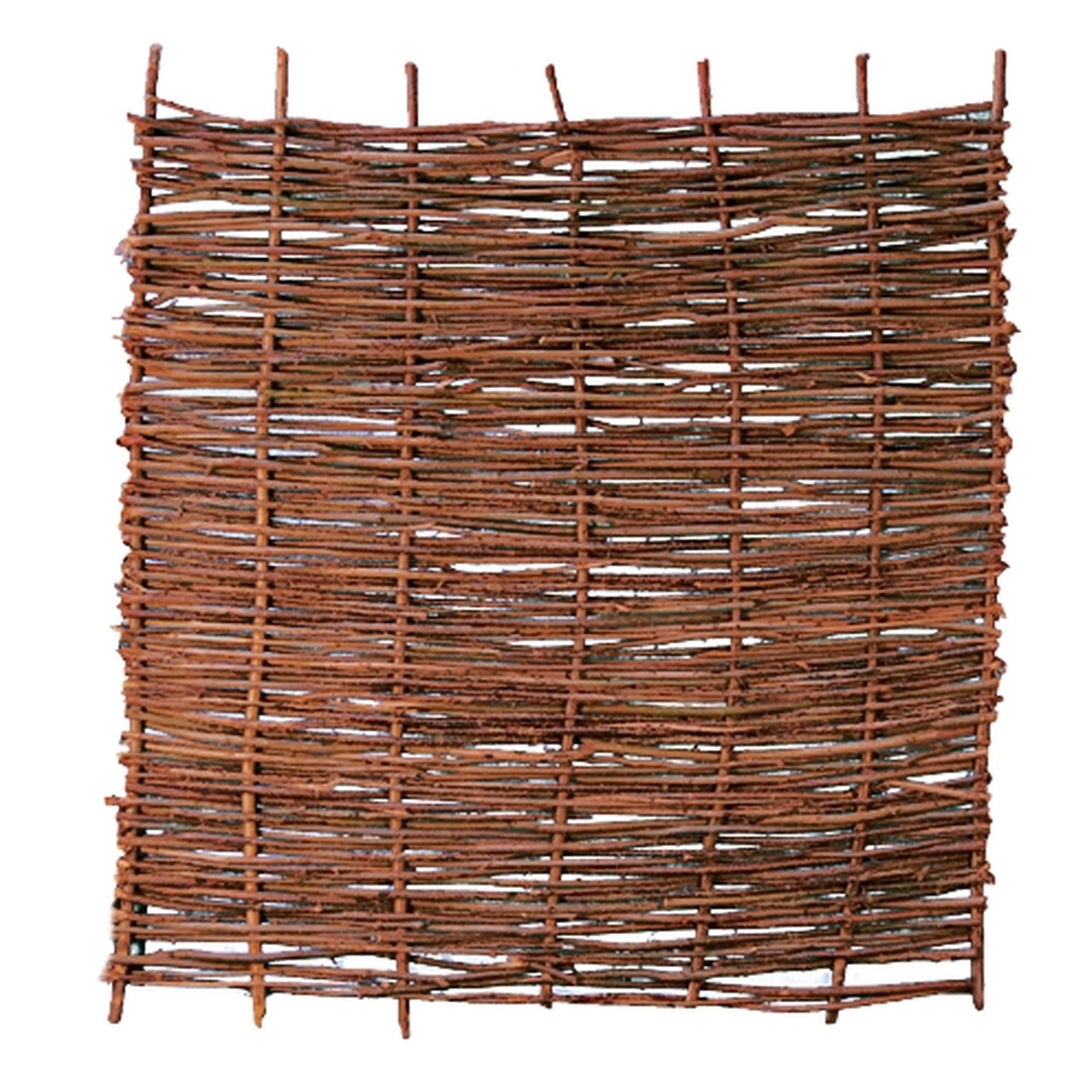 PABLO Haselnusszaun, stabil 1 PABLO Haselnusszaun, stabil