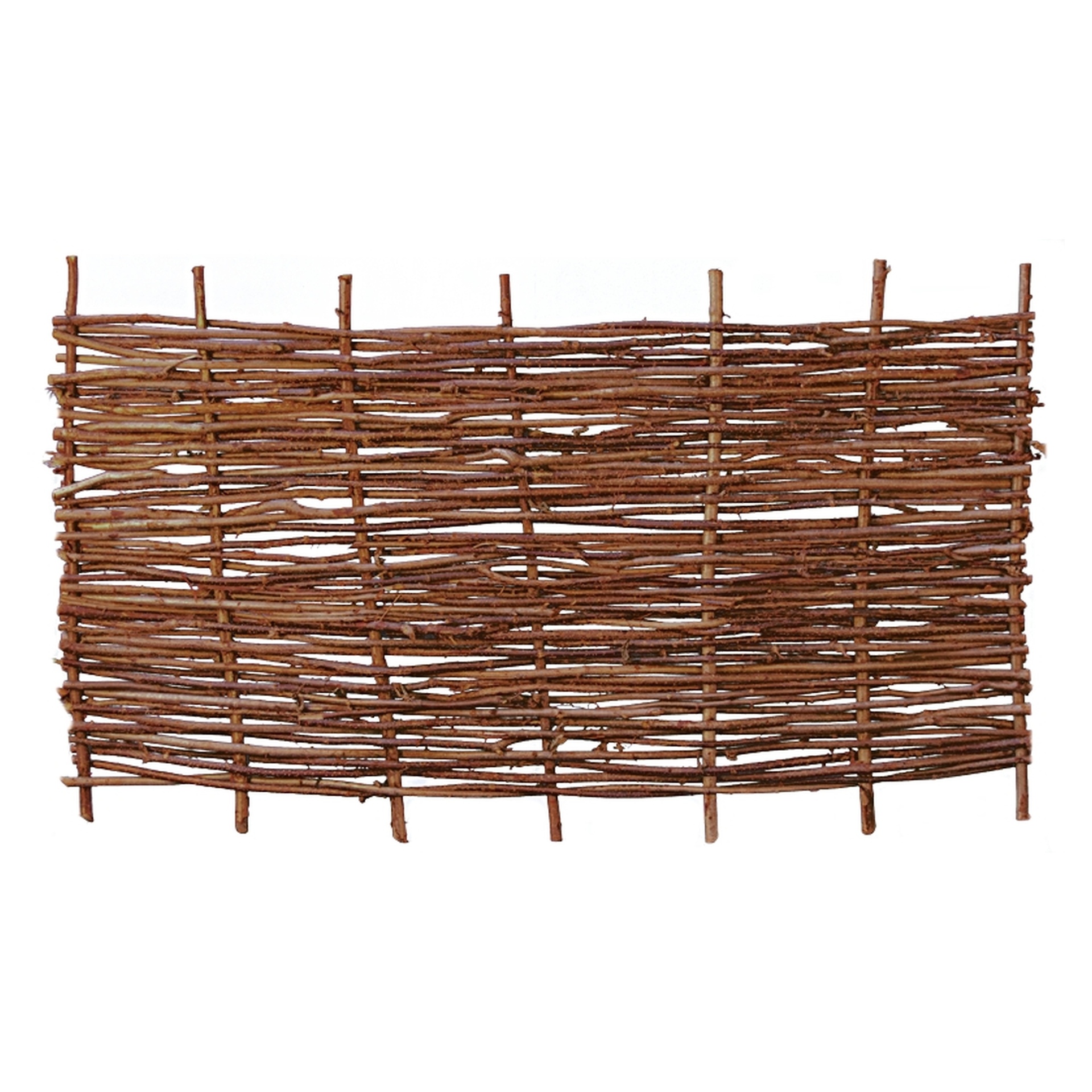 PABLO Haselnusszaun, stabil 1 PABLO Haselnusszaun, stabil