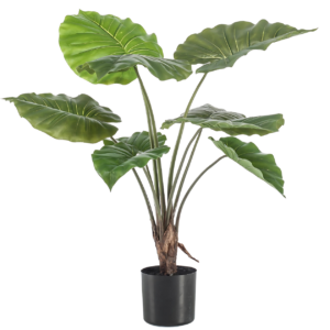 Künstliche Alocasia | Elefantenohr | +/- 70cm | ø 12cm Topf