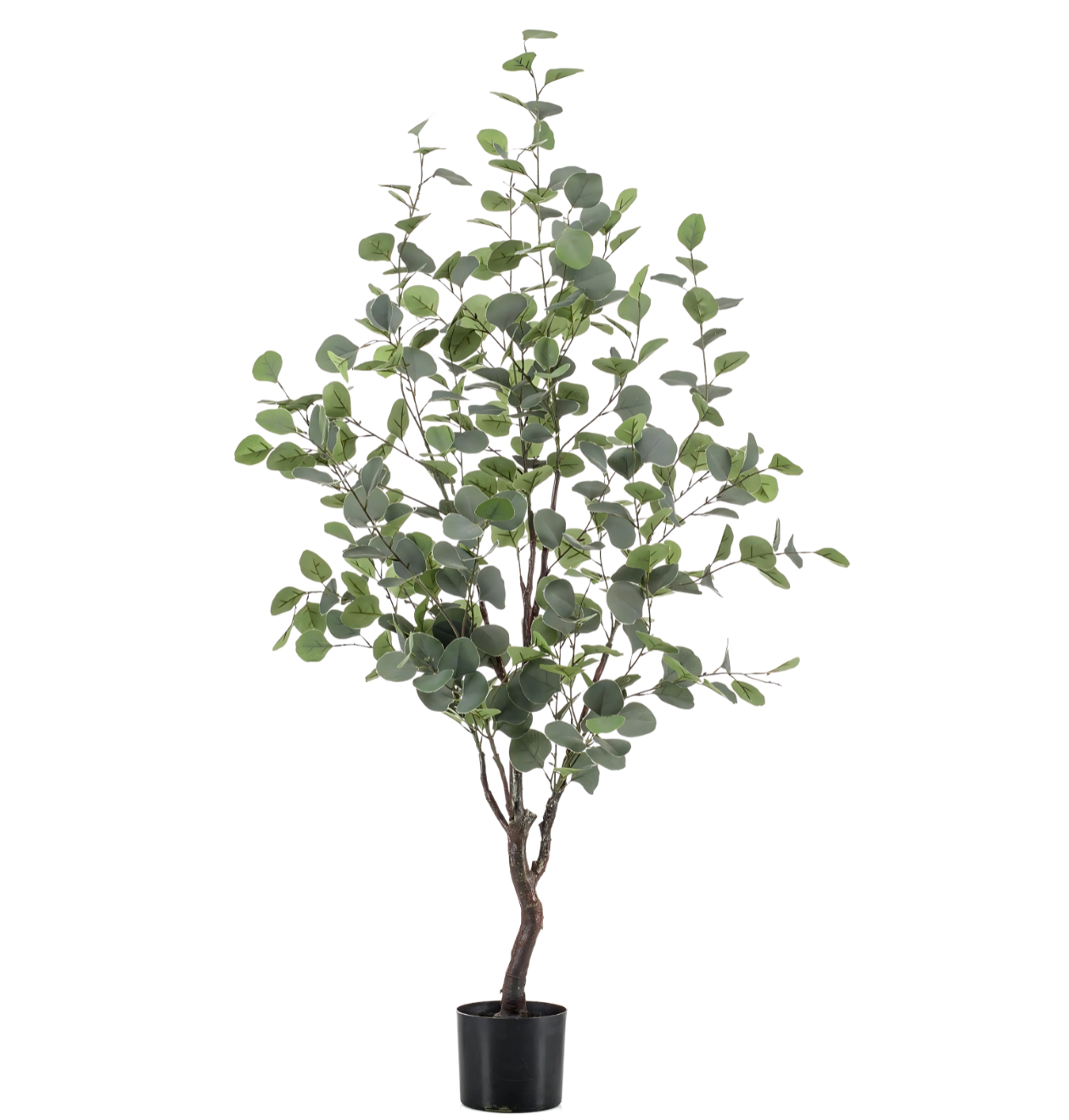 Künstlicher blauer Eukalyptus | Gummibaum | +/- 120cm | ø 14cm Topf 1 Künstlicher blauer Eukalyptus | Gummibaum | +/- 120cm | ø 14cm Topf