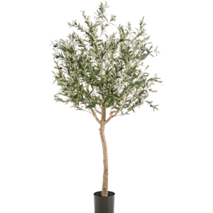 Künstlicher Olivenbaum | Olea europaea | +/- 180cm | ø 15cm Topf