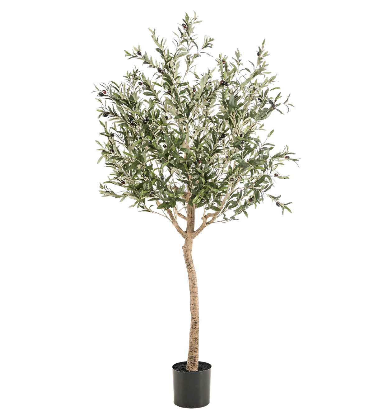 Künstlicher Olivenbaum | Olea europaea | +/- 180cm | ø 15cm Topf 1 Künstlicher Olivenbaum | Olea europaea | +/- 180cm | ø 15cm Topf