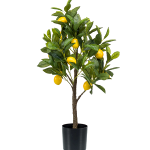 Künstliche Citrus Limonia | Zitrusbaum | +/- 75cm | ø 12cm Topf