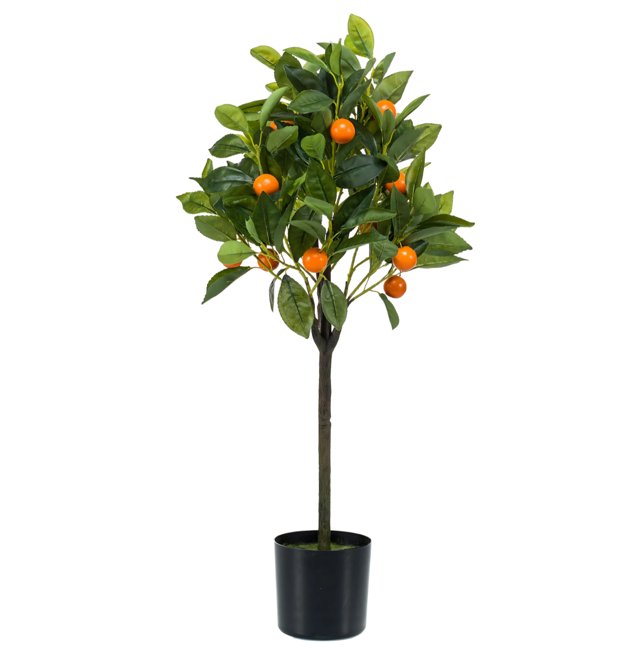 Künstliche Citrus Sinensis | Orangenbaum | +/- 75cm | ø 12cm Topf 1 Künstliche Citrus Sinensis | Orangenbaum | +/- 75cm | ø 12cm Topf