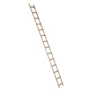 Das richtige Gewächshaus - problemlos und komfortabel 4 Euroline Holz/Alu-Dachdeckerauflegeleiter Nr. 11102 1x14