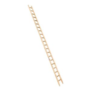 Euroline Holzanlegeleiter Nr. 10102 1x21