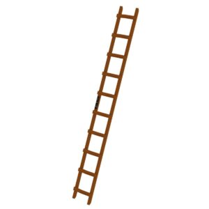 Günzburger Steigtechnik Dachleiter Holz 10 Sprossen