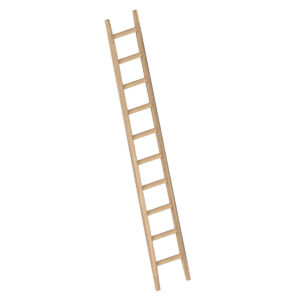 Layher Bau-Anlegeleiter aus stabilem Fichtenholz mit 10 Sprossen; Länge 3.0 m