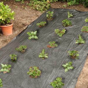 Unkrautfolie Schwarz 0,9X12m