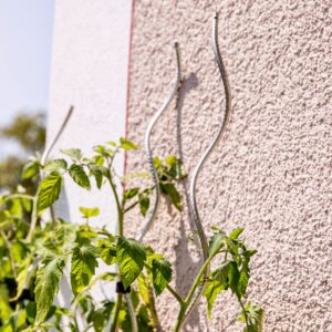 Tomatenspiralstab gerippt